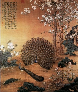 Lang shining Proudasa Peacock old China ink Giuseppe Castiglione Oil Paintings